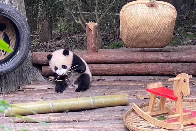 Dujiangyan Panda Center and Dujiangyan Irrigation System One Day Tour - Tour Overview