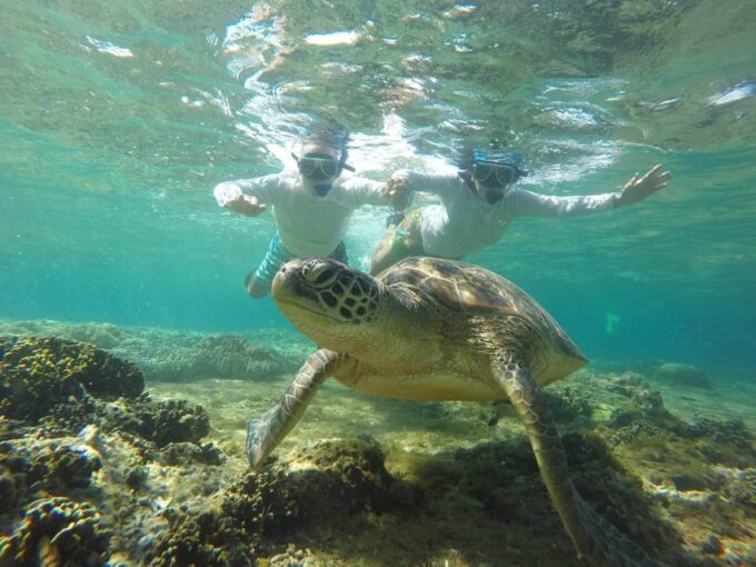 Dumaguete: Apo Island Snorkeling and Hiking Joiners Tour - Frequently Asked Questions