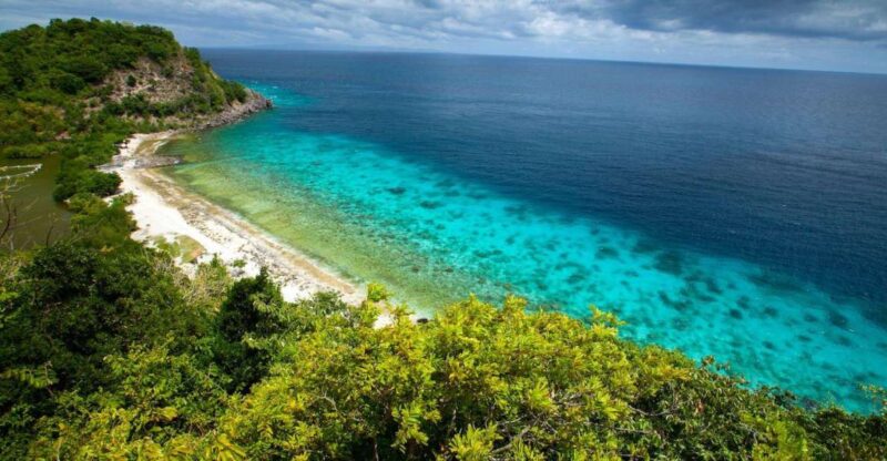 Dumaguete Apo Island With Turtle Snorkeling - Experience Highlights