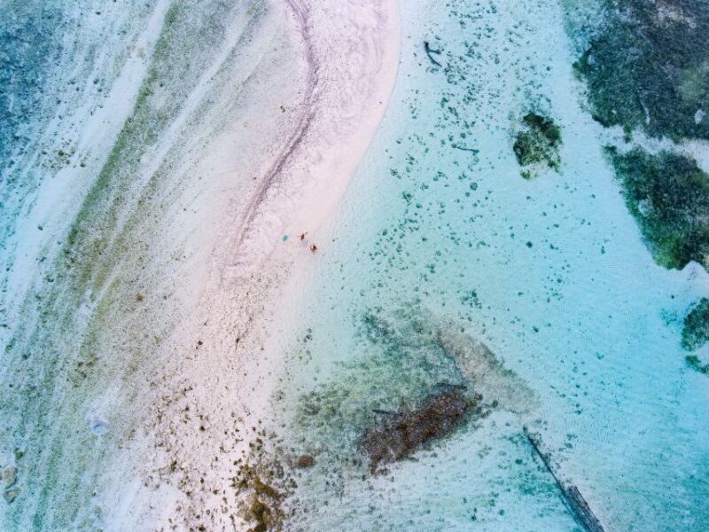 Dumaguete: Dolphin Watching & Manjuyod Sandbar Private Tour - Itinerary Highlights
