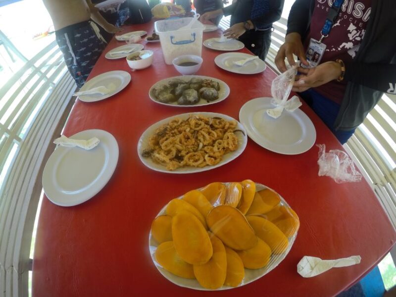 Dumaguete: Dolphin Watching & Manjuyod Sandbar Private Tour - Dolphin Watching Experience