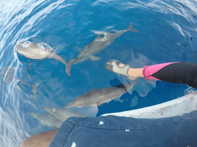 Dumaguete: Dolphin Watching & Manjuyod Sandbar Private Tour - Booking and Cancellation Policy