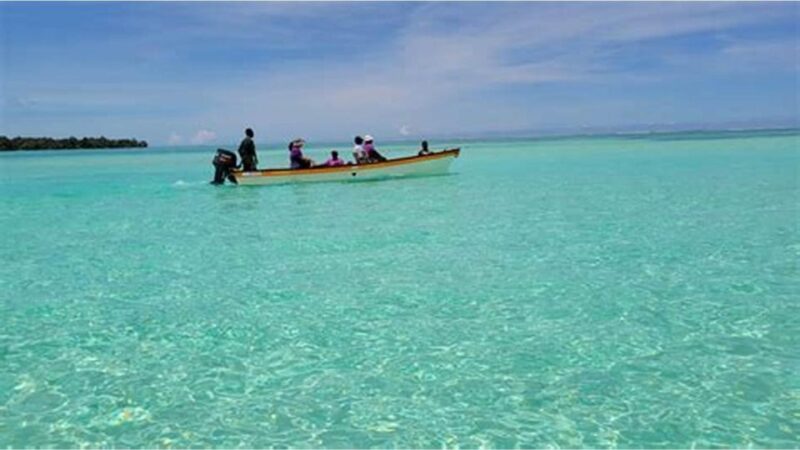 Dumaguete Manjuyod Sand Bar & Dolphin Watching - Key Points