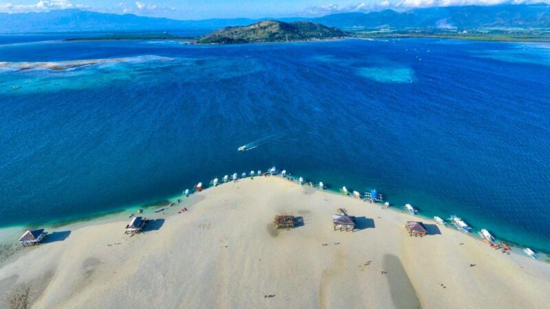 Dumaguete Manjuyod Sand Bar & Dolphin Watching - Inclusions and Logistics