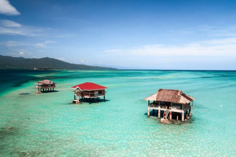 Dumaguete Manjuyod Sand Bar & Dolphin Watching - Restrictions and Recommendations