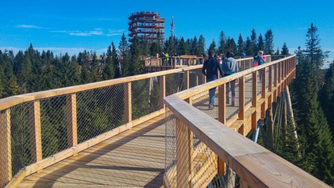 Dunajec River Gorge Rafting and Tree Top Walk From Krakow - Inclusions and Restrictions