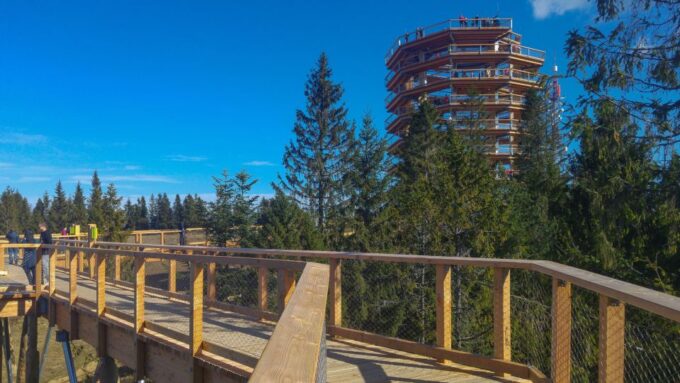 Dunajec River Gorge Rafting and Tree Top Walk From Krakow - Customer Feedback Review