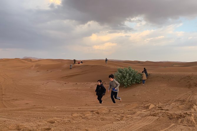 DUNE BASHING - Desert Safari, The Heartbeat of Dubai! - Inclusions of the Experience