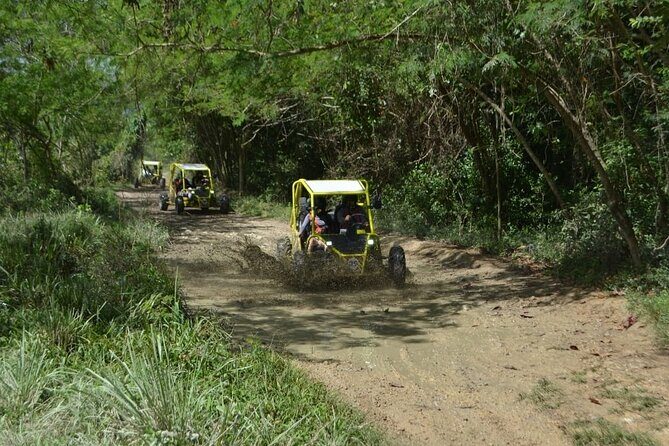 Dune Buggies Adventure - FAQs
