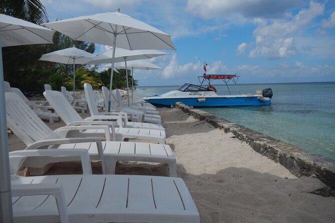 Dune Buggy Adventure in Cozumel With Snorkel and Mexican Lunch - Customer Feedback