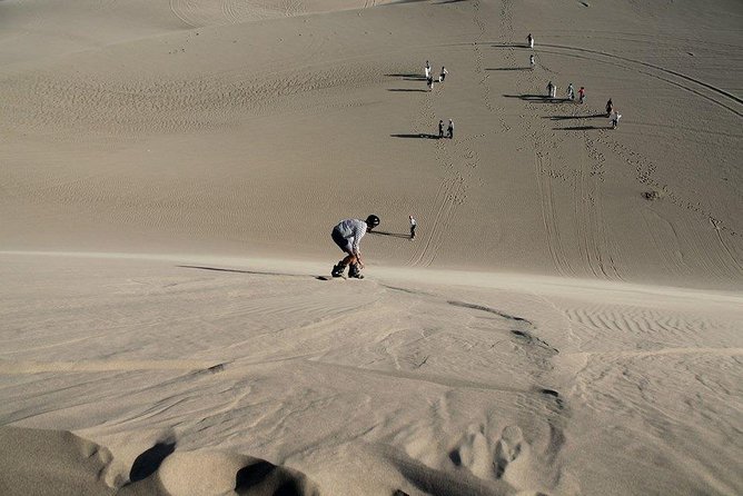 Dune Buggy and Sandboarding at Huacachina From Ica - Sandboarding Adventure