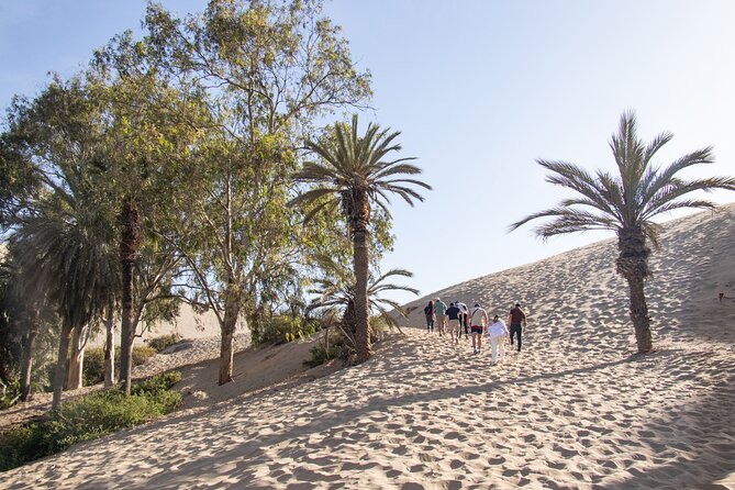 Dune Buggy at Sunset & Sandboarding From Huacachina or Ica - Sunset Dune Buggy Ride