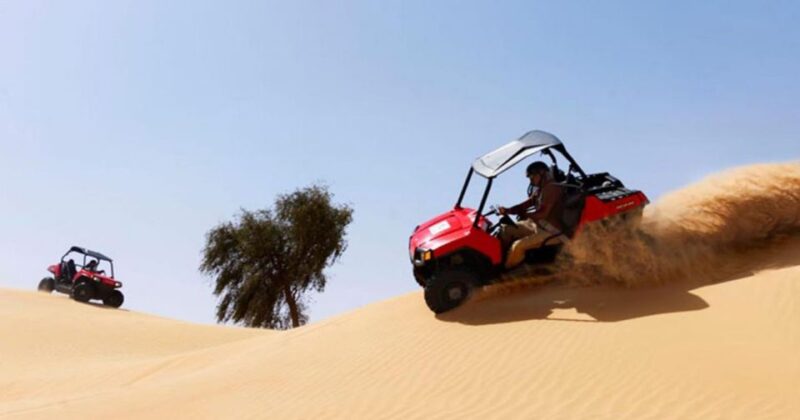 Dune Buggy Desert Safari From Sharm El Sheikh - Buggy Riding Experience