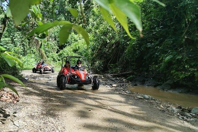 Dune Buggy Jungle Adventure Muddy Tour(Non Cruise Guest Min-2pax) - Tour Overview
