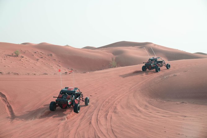 Dune Buggy & Private Dinner in the Dunes in Mleiha National Park - Exploring Mleiha National Park