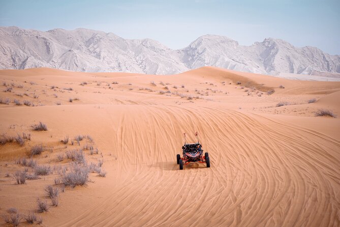 Dune Buggy & Private Dinner in the Dunes in Mleiha National Park - Sandboarding at Camel Rock
