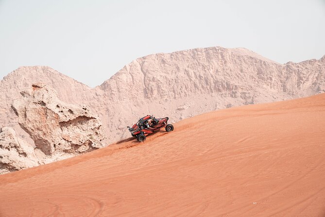 Dune Buggy & Private Dinner in the Dunes in Mleiha National Park - Transportation and Amenities Provided