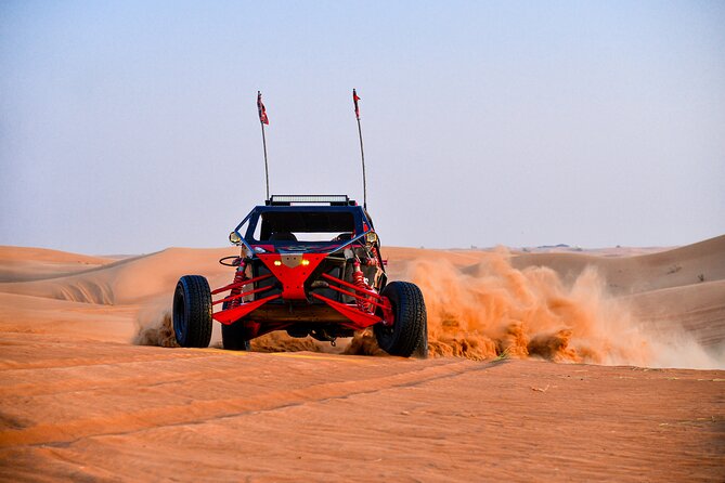 Dune Buggy Ride in Red Dunes + Desert Safari- Private Experience - Pickup and Meetup Locations