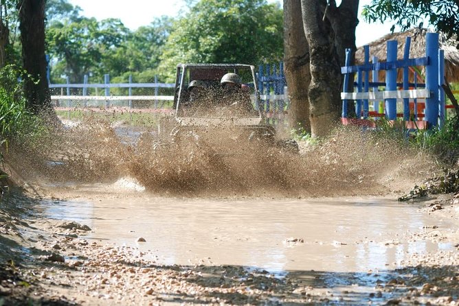 Dune Buggy & River Cave Tour - Reviews