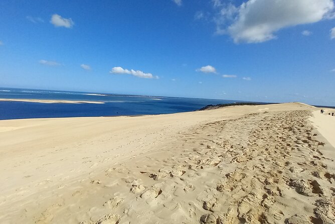 Dune Du Pilat and Oysters Tasting in Only 1 Hour Away From Bordeaux ! What Else? - Exploring Dune Du Pilat
