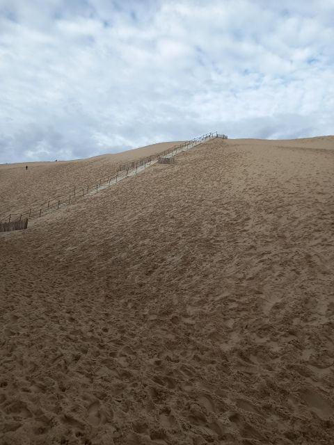 Dune Du Pilat and Oysters Tasting! What Else? - Dune Du Pilat