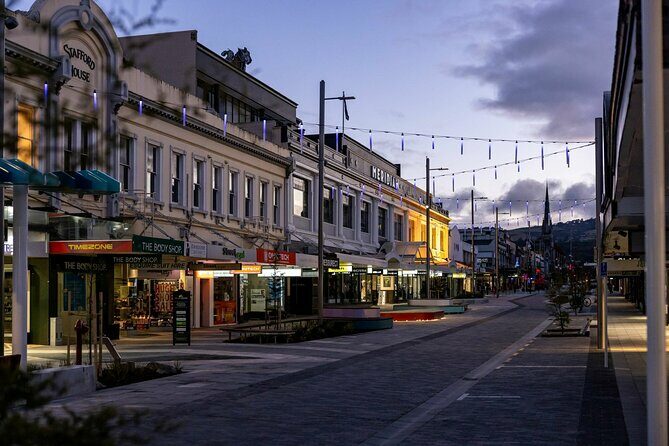 Dunedin 4 Hrs halfday Private Tour - Steep Streets and Stunning Vistas: The City’s Unique Features