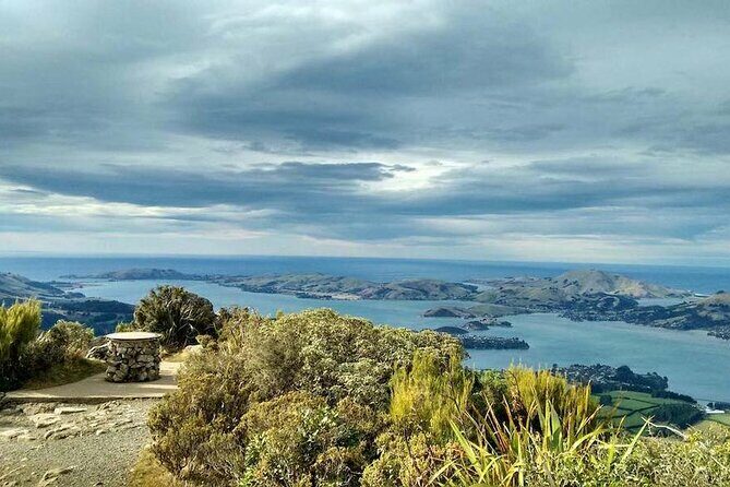 Dunedin 4 Hrs halfday Private Tour - Frequently Asked Questions