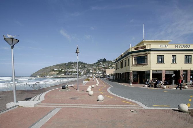 Dunedin City and Coastal Views 3-Hour Small-Group Guided Tour - Customer Reviews and Recommendations