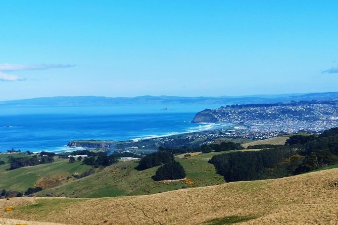 Dunedin City and Coastal Views 3-Hour Small-Group Guided Tour - Exploring Dunedins Historic Landmarks