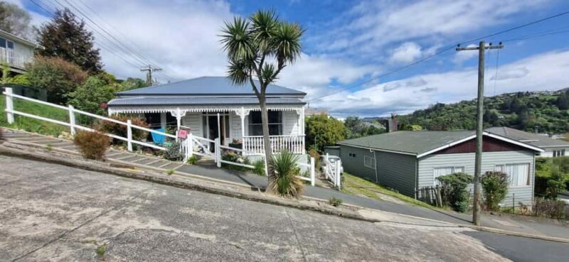 Dunedin City & Coastal Views 3-Hour Small-Group Tour - Key Points