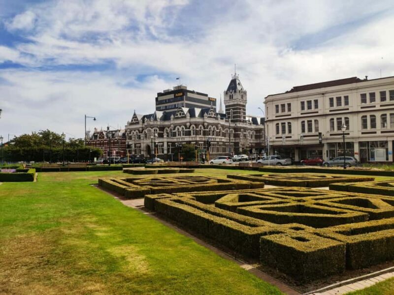 Dunedin City & Coastal Views 3-Hour Small-Group Tour - A Closer Look at What Makes This Tour Stand Out