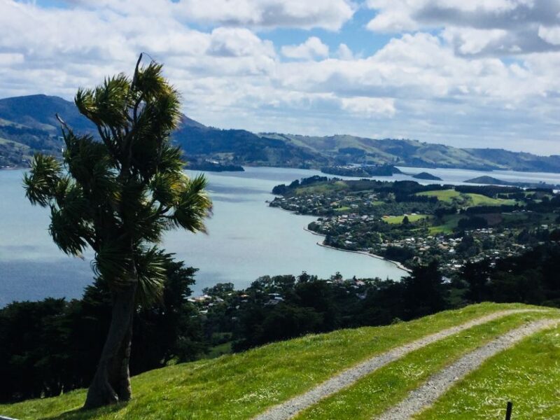 Dunedin: City Highlights and Otago Peninsula Scenery - Tour Pricing