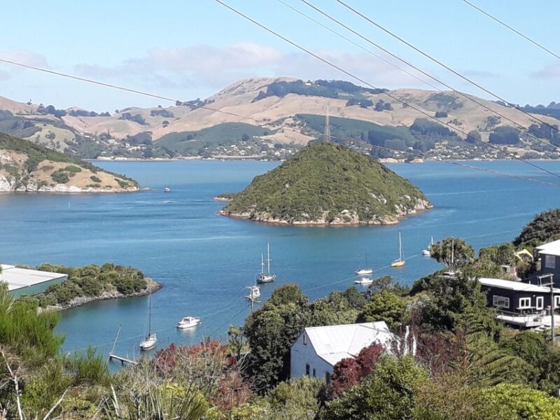 Dunedin: City Highlights and Otago Peninsula Scenery - Albatross Centre Offerings