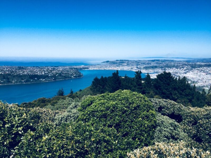 Dunedin: City Highlights and Otago Peninsula Scenery - Transportation and Inclusions