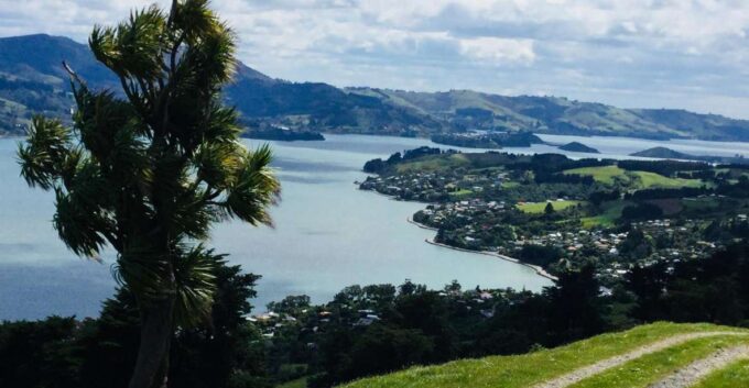 Dunedin: City Highlights and Otago Peninsula Scenery - Booking and Cancellation Policy