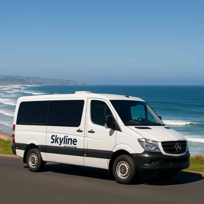 Dunedin City & Otago Peninsula Scenery Day Tour - Tips for Travelers