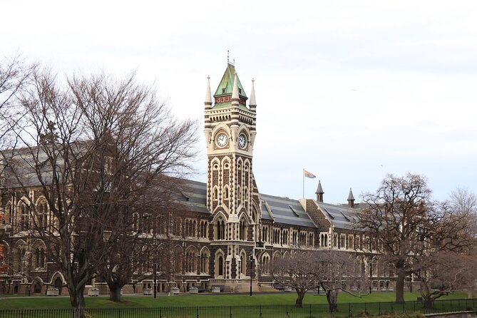 Dunedin City, Wildlife and Larnach Castle - Guide Experience and Commentary