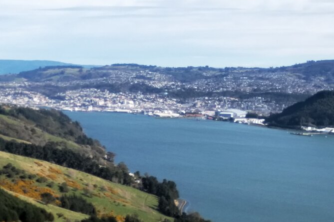 Dunedin City, Wildlife and Larnach Castle - Customer Reviews and Feedback