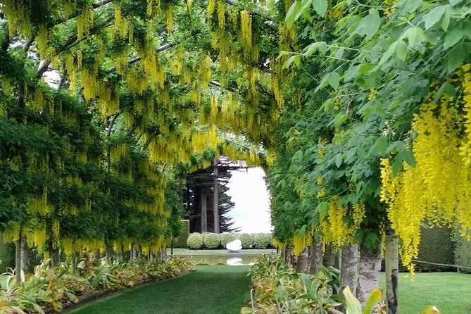 Dunedin City, Wildlife and Larnach Castle - Otago Harbour and Larnach Castle