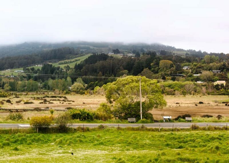Dunedin Cruise Excursion: Express Coastline Rail Tour - The Itinerary: What to Expect from Start to Finish