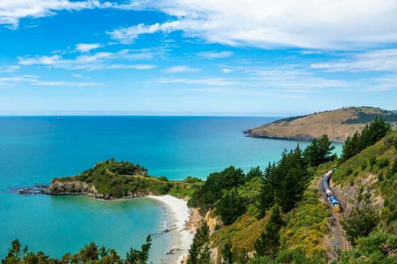Dunedin Cruise Excursion: Express Coastline Rail Tour - How Does It Rate in Value?