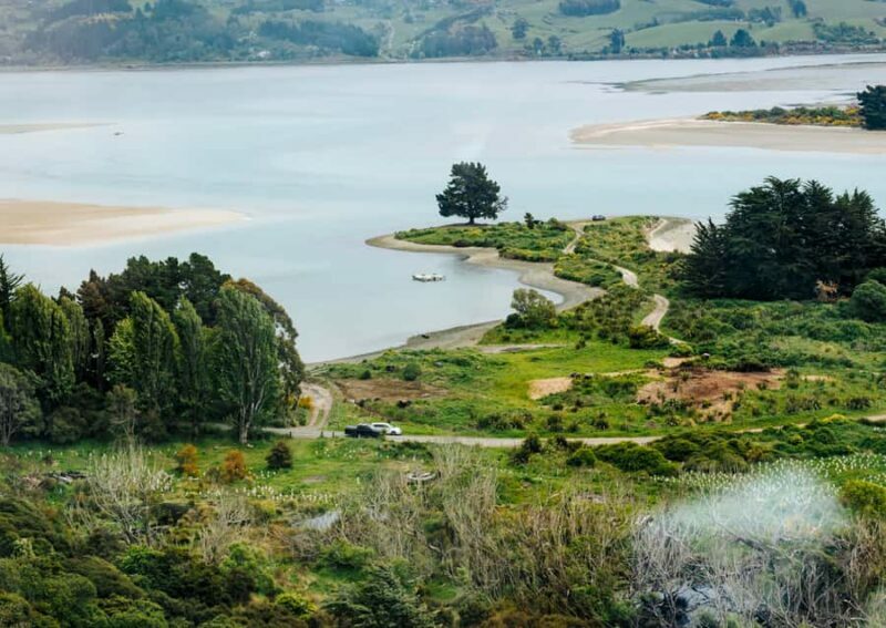 Dunedin Cruise Excursion: Express Coastline Rail Tour - The Sum Up