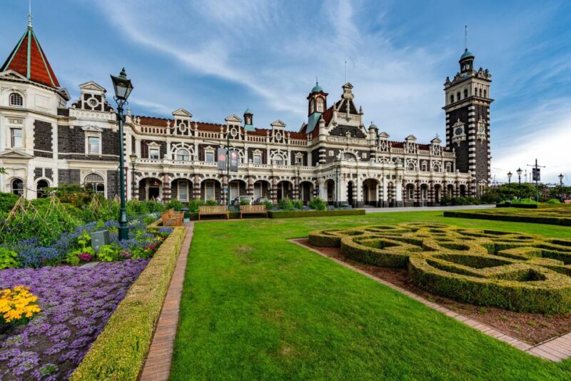 Dunedin: Heritage and Nature Walking Tour for Families - Key Points