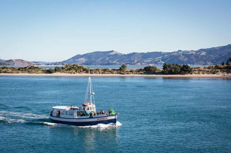 Dunedin: Monarch - One Hour Wildlife Cruise - Practical Details and Tips