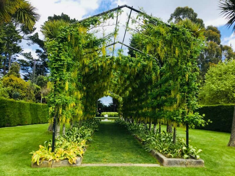 Dunedin: Peninsula with Lanarch Castle gardens & Olveston - Analyzing the Itinerary: What to Expect