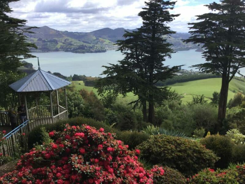 Dunedin: Peninsula with Lanarch Castle gardens & Olveston - Practicalities & Tips to Maximize Your Experience