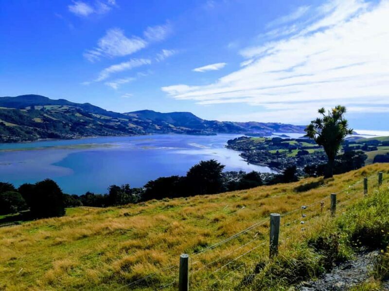 Dunedin: Peninsula with Lanarch Castle gardens & Olveston - Who Is This Tour Best For?