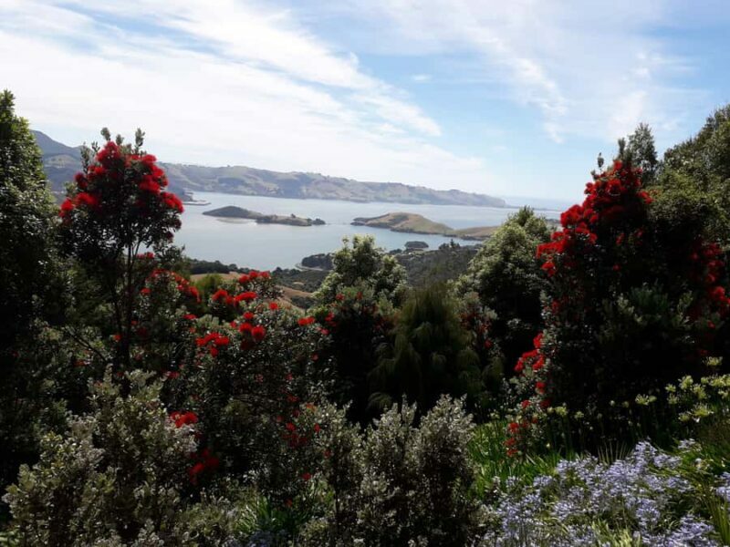 Dunedin: Peninsula with Lanarch Castle gardens & Olveston - The Sum Up