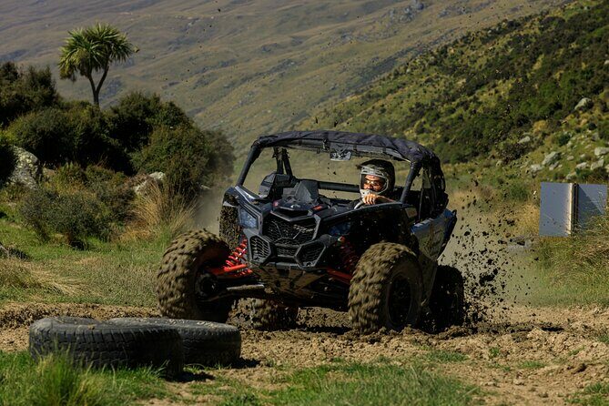 Dunedin Private Tour: City Sights & Otago Peninsula - The Sum Up