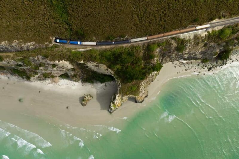 Dunedin: Scenic Railway Tour of Otago's Coastline - Final Thoughts: Who Will Love This Experience?